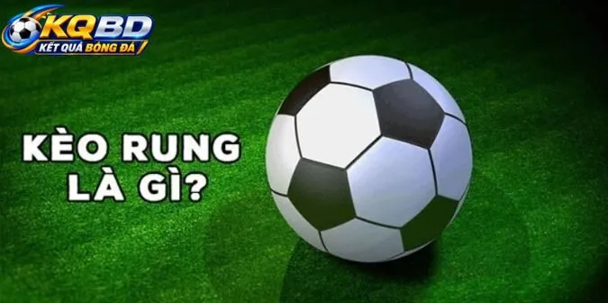 Các thông tin cần biết về kèo rung là gì trước khi chọn lựa