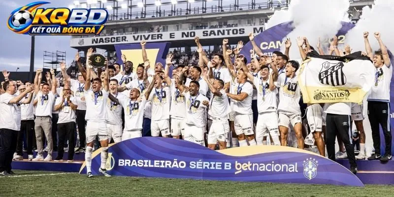 Cách thức tổ chức thi đấu của VĐQG Brazil